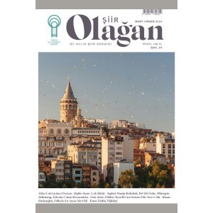 Olağan Şiir 37. Sayı