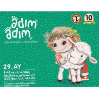 Adım Adım Bebek Eğitim Seti 29. Ay