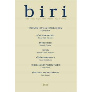 Biri Dergisi 2024, Sayı 17