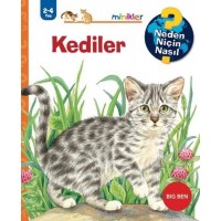 Kediler Neden Niçin Nasıl 2 4 Yaş