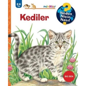 Kediler Neden Niçin Nasıl 2 4 Yaş Kediler Neden Niçin Nasıl 2 4 Yaş