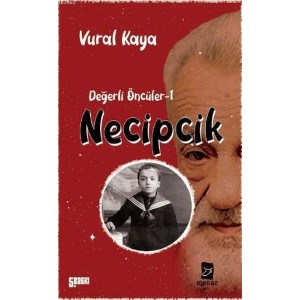 Necipcik