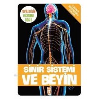 Sinir Sistemi ve Beyin Vücudumuz Dizisi