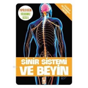 Sinir Sistemi ve Beyin Vücudumuz Dizisi Sinir Sistemi ve Beyin Vücudumuz Dizisi