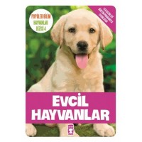 Evcil Hayvanlar