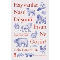 Hayvanlar Nasıl Düşünür İnsanlar Ne Görür