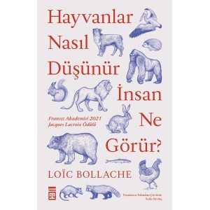 Hayvanlar Nasıl Düşünür İnsanlar Ne Görür