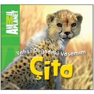 Animal Planet Doğadaki Vahşi Yaşamım Çita