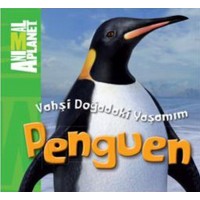 Animal Planet Doğadaki Vahşi Yaşamım Penguen