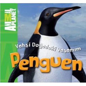 Animal Planet Doğadaki Vahşi Yaşamım Penguen