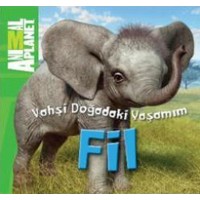 Animal Planet Doğadaki Vahşi Yaşamım Fil