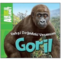 Animal Planet Doğadaki Vahşi Yaşamım Goril