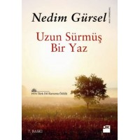 Uzun Sürmüş Bir Yaz