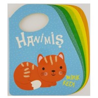 Hanimiş Minik Kedi