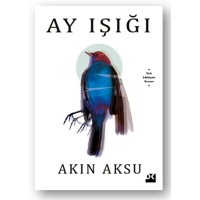 Ay Işığı