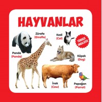 Hayvanlar Türkçe İngilizce