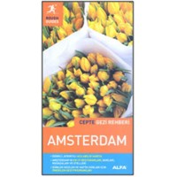 Amsterdam Cepte Gezi Rehberi