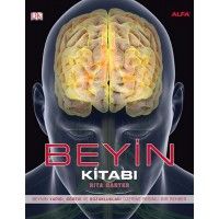 Beyin
