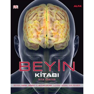 Beyin