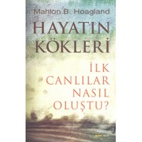 Hayatın Kökleri