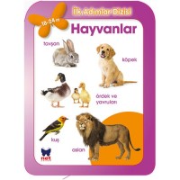 İlk Adımlar Dizisi Hayvanlar 18 24 Ay
