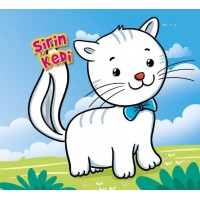 Şirin Kedi
