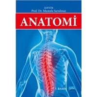 Anatomi