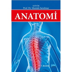 Anatomi