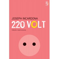 220 Volt