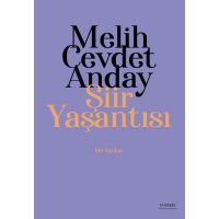 Şiir Yaşantısı