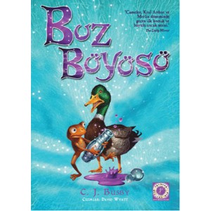Buz Büyüsü
