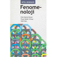 Nitel Desenler Fenomenoloji