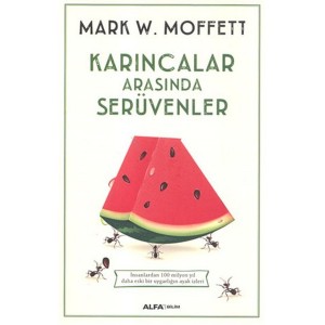 Karıncalar Arasında Serüvenler