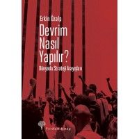 Devrim Nasıl Yapılır