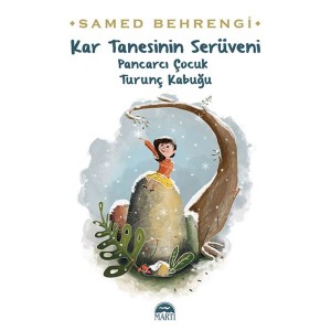 Kar Tanesinin Serüveni