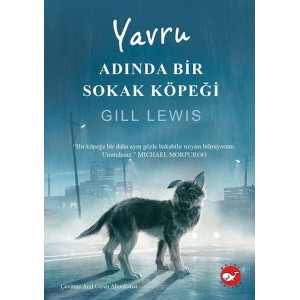 Yavru Adında Bir Sokak Köpeği