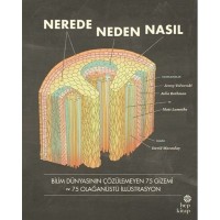 Nerede, Neden, Nasıl