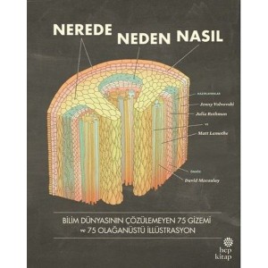 Nerede, Neden, Nasıl
