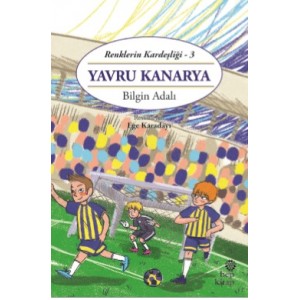 Renklerin Kardeşliği 3 Yavru Kanarya