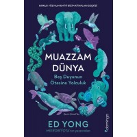 Muazzam Dünya Beş Duyunun Ötesine Yolculuk