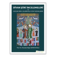 Divan Şiiri İncelemeleri ve Hocam Amil Çelebioğlu İçin Yazdıklarım