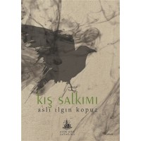 Kış Salkımı