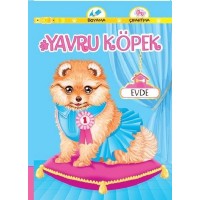Yavru Köpek Evde