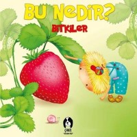 Bu Nedir Bitkiler