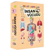 Bilgi Kartları İnsan vücudu