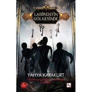 Şifrenin İzinde Labirentin Gölgesinde