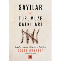 Sayılar ve Türümüze Katkıları