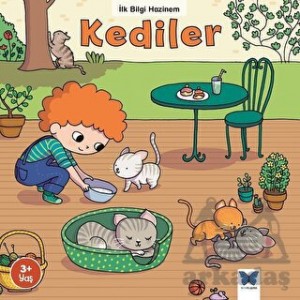 Kediler Kediler
