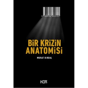 Bir Krizin Anatomisi